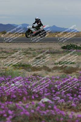 media/Jan-14-2023-SoCal Trackdays (Sat) [[497694156f]]/Turn 14 Exit Bloomig (145pm)/
